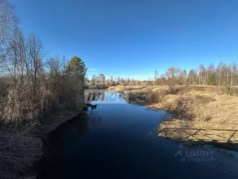 Участок в Ярославская область, Угличский муниципальный округ, д. ...