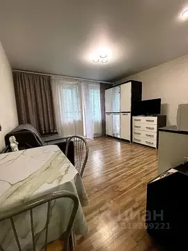 Студия Ленинградская область, Ломоносовский район, Виллозское ...