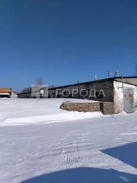 Помещение свободного назначения в Алтайский край, Троицкий район, с. ...