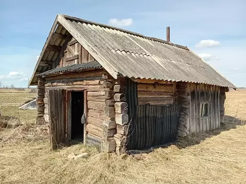 Участок в Ленинградская область, Волосовский район, Бегуницкое с/пос, ...