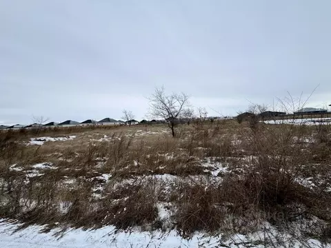 Участок в Хакасия, Усть-Абаканский район, пос. Тепличный Вишневая ул., ...