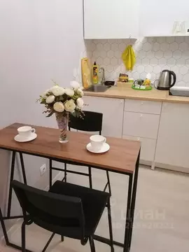 Студия Ленинградская область, Гатчина ул. Чехова, 43к1 (28.0 м)