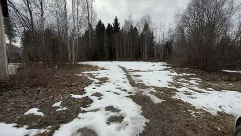 Участок в Карелия, Петрозаводск  (10.0 сот.)