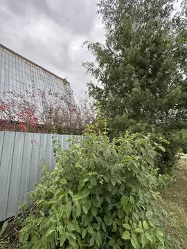 Дом в Челябинская область, Сосновский муниципальный округ, Полет-3 СНТ ...