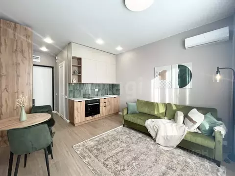 Студия Москва просп. Прокшинский, 9 (21.6 м)