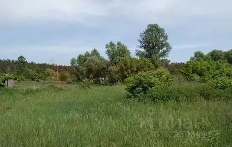 Участок в Ростовская область, Аксайский район, Ольгинское с/пос, ...