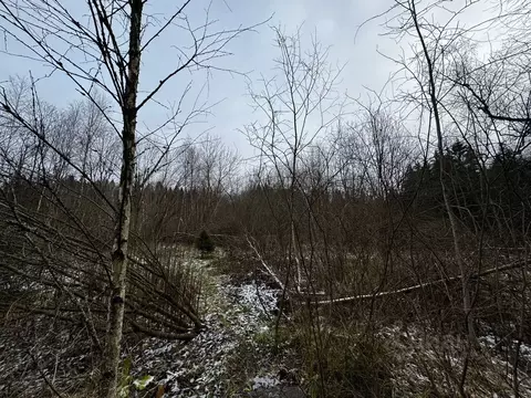 Участок в Московская область, Солнечногорск городской округ, пос. ...