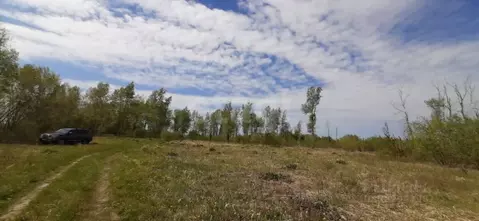 Участок в Тюменская область, Тюменский муниципальный округ, с. Борки  ...