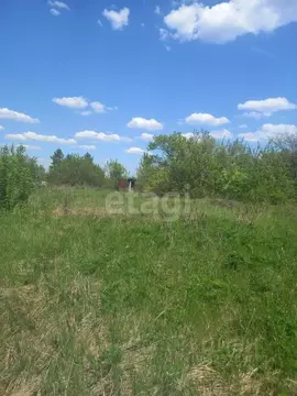 Участок в Воронежская область, Рамонский район, Комсомольское с/пос, ...