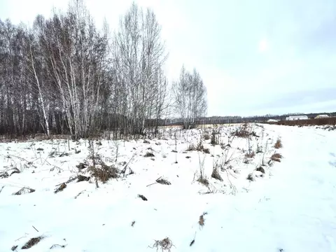 Участок в Омская область, Омский район, Пушкинское с/пос  (10.0 сот.)