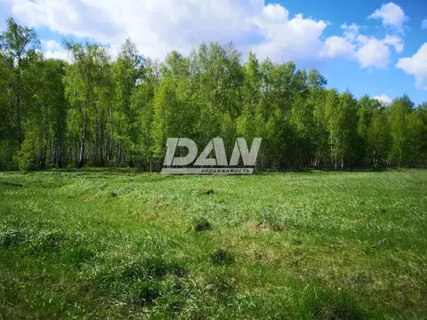 Участок в Челябинская область, Красноармейский муниципальный округ, ...