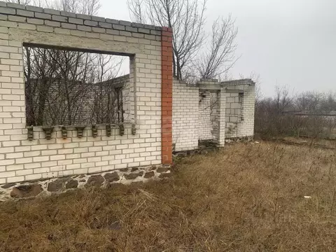 Участок в Белгородская область, Вейделевский район, с. Белый Колодезь ...