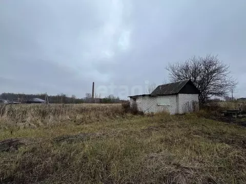 Участок в Брянская область, Брянский район, Снежское с/пос, с. ...