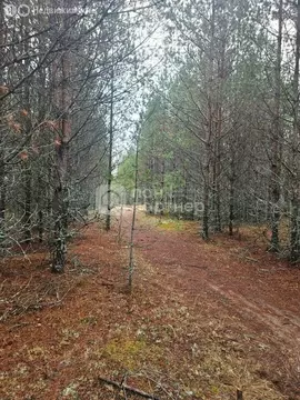 Участок в Лодейное Поле, Манинское Поле (9.75 м)