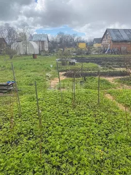 Дом в Вологодская область, Сокол Печаткино мкр,  (10 м)