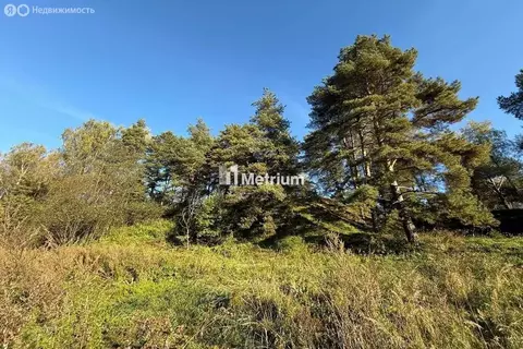 Участок в Московская область, муниципальный округ Истра, деревня ...