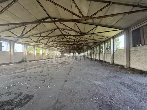 Склад в Смоленская область, Починковский муниципальный округ, ...