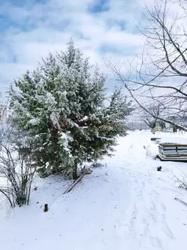 Участок в Ростовская область, Ростов-на-Дону пос. Кирпичный, пер. 2-й ...