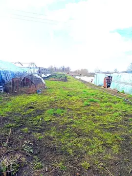 2-к кв. Тамбовская область, Моршанский муниципальный округ, с. Крюково ...