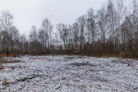 Участок в Тюменская область, Нижнетавдинский муниципальный округ, ...