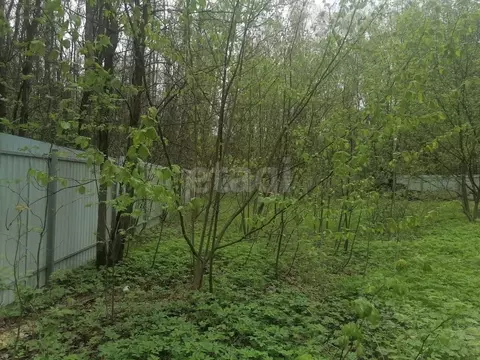 Участок в Московская область, Щелково городской округ, Планета СНТ 59 ...