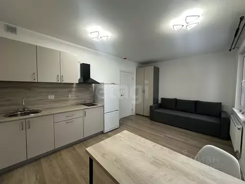 Студия Ленинградская область, Всеволожское городское поселение, пос. ...