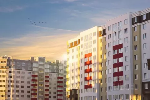 2-к кв. Калининградская область, Калининград ул. Кипарисовая, 1 (60.0 ...