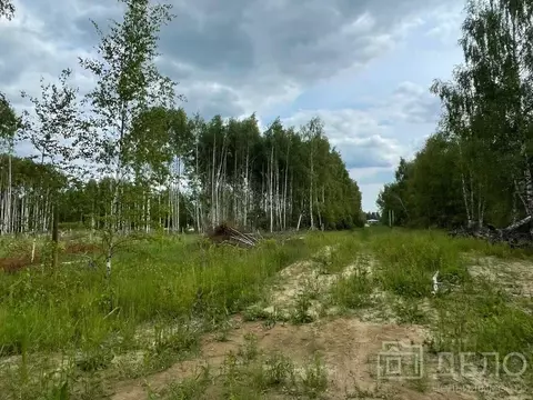 Участок в Рязанская область, Рязанский муниципальный округ, с. ...