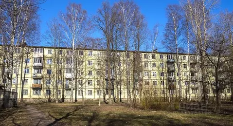 2-к кв. Санкт-Петербург Гранитная ул., 46К2 (45.6 м)