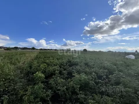 Участок в Мордовия, Кочкуровский район, с. Подлесная Тавла Московская ...