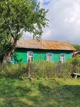 Дом в Алтайский край, с. Ребриха ул. Фестивальная, 44 (42 м)