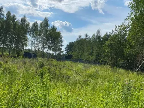 Участок в Нижегородская область, Нижний Новгород с. Елховка,  (10.0 ...