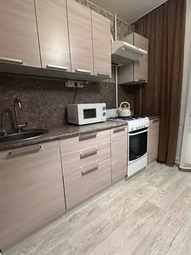 1-к кв. Псковская область, Псков Рижский просп., 95 (32.0 м)