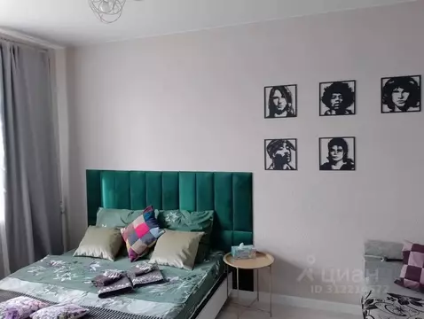 1-к кв. Московская область, Ногинск Богородский городской округ, ул. ...