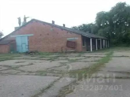 Помещение свободного назначения в Краснодарский край, Краснодар пос. ...