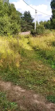 Участок в Новгородская область, Демянский район, Полновское с/пос, д. ...