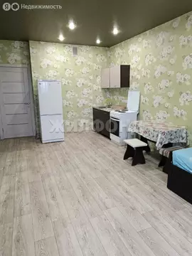Квартира-студия: Новосибирск, улица Виктора Уса, 4 (31.2 м)