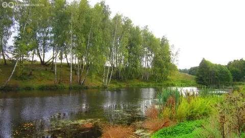 Участок в Московская область, городской округ Серпухов, деревня ...