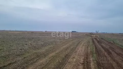 Участок в Крым, Сакский район, с. Штормовое ул. Южная (6.0 сот.)