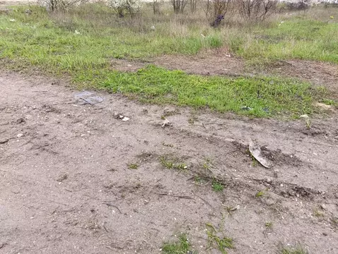 Участок в Крым, Симферопольский район, Трудовское с/пос, с. Ивановка  ...