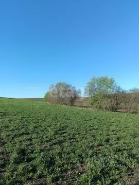 Участок в Удмуртия, Можгинский район, с. Большая Кибья Нагорная ул., ...