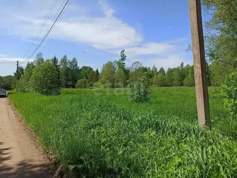 Участок в Ленинградская область, Волховский район, Потанинское с/пос, ...