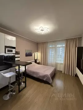 Студия Санкт-Петербург аллея Арцеуловская, 23к2 (25.0 м)