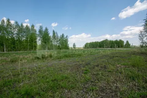 Участок в Тюменская область, Тюменский муниципальный округ, Дачи Хюгге ...