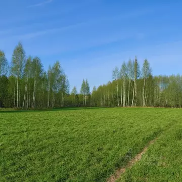 Участок в Московская область, Рузский муниципальный округ, д. Лобково ...
