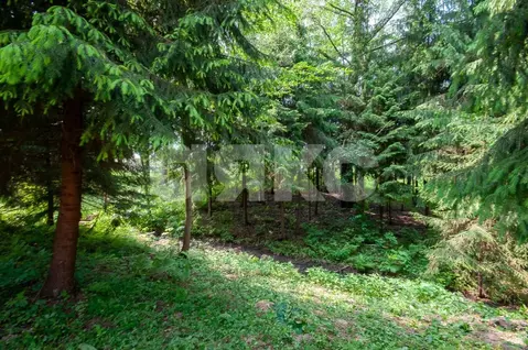 Участок в Московская область, Дмитровский муниципальный округ, пос. ...