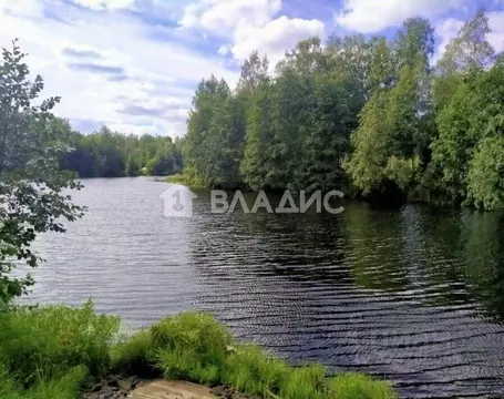 Участок в Ленинградская область, Всеволожский район, Куйвозовское ...