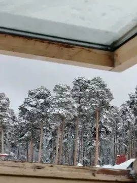 2-к кв. Пензенская область, Пенза Коннозаводская ул., 53 (48.9 м)