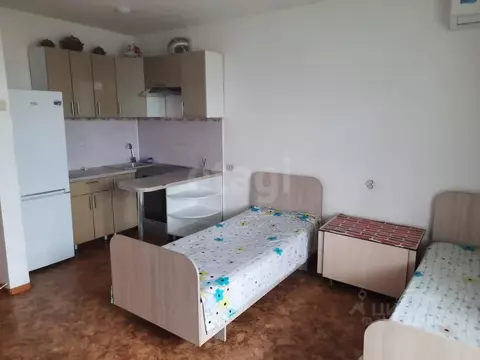 Студия Амурская область, Благовещенск ул. 50 лет Октября, 106/1 (25.2 ...