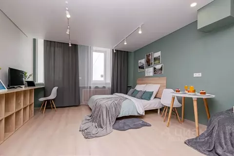 Студия Пермский край, Пермь ул. Куйбышева, 109А (27.0 м)